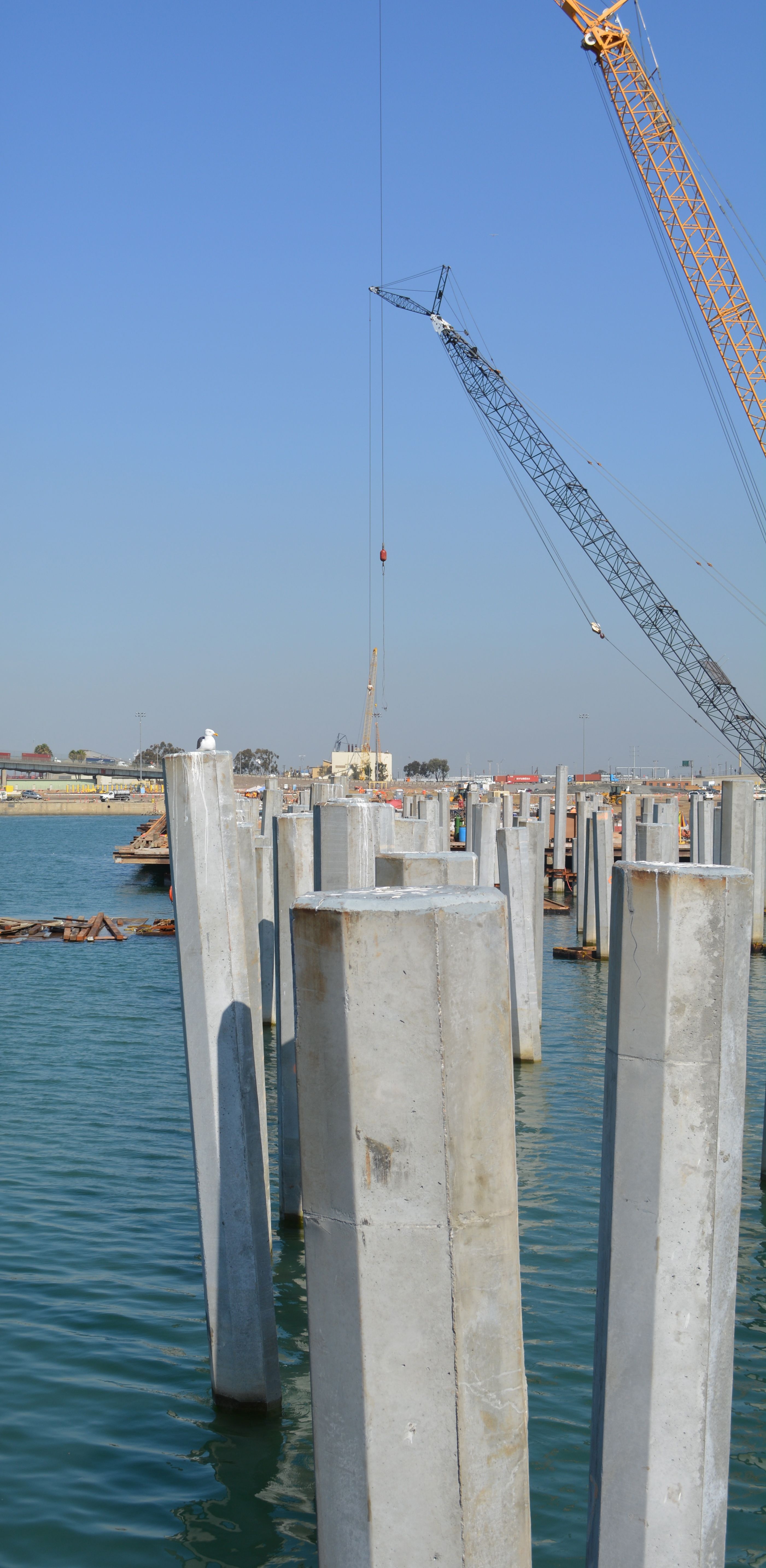 Misaligned 24" octagonal wharf piles at POLB Middle Harbor project